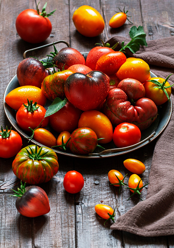 Tomatoes of various varieties and sizes on an iron tray on a wooden table. Selective focus.