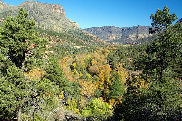 istock Oak Creek Canyon Arizona in Fall 141186338