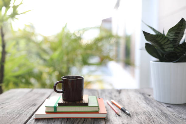 istock Borwn coffee cup and Hahnii mini snake plant pot and notebook 1411864852