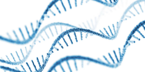 RNA. On White Background stock photo
