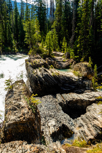 istock Natural Bridge Yoho National Park British Columbia Canada 1411872824