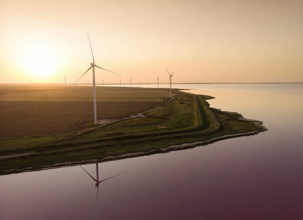 istock Wind farm in Kherson district, Ukraine 1411873059