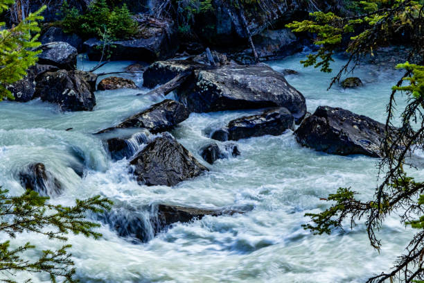 istock Yoho River Yoho National Park British Columbia Canada 1411873213