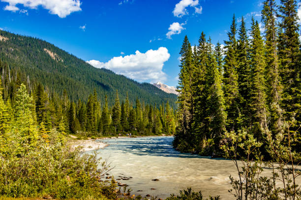 istock Yoho River Yoho National Park British Columbia Canada 1411873927