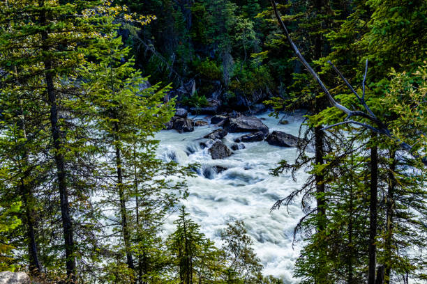 Thundering Yoho River Yoho National Park British Columbia Canada