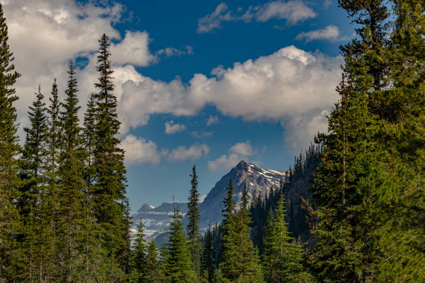 istock Yoho Valley Road Yoho National Park British Columbia Canada 1411874098