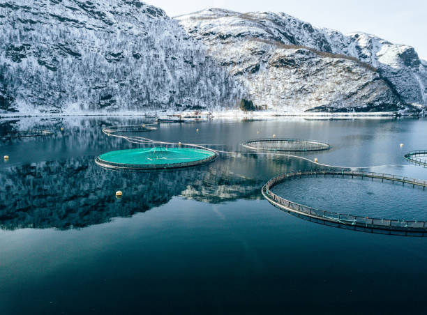 istock fish farm in norway 1411878030