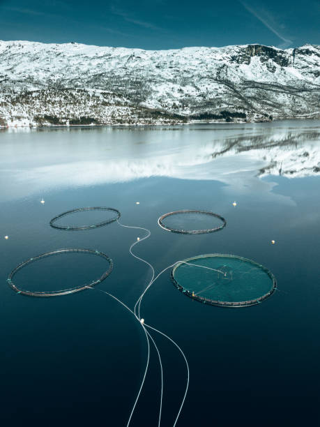 istock fish farm in norway 1411878042