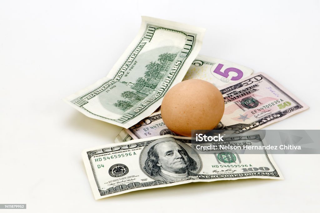 Dollars with an egg in the foreground Animal Egg Stock Photo
