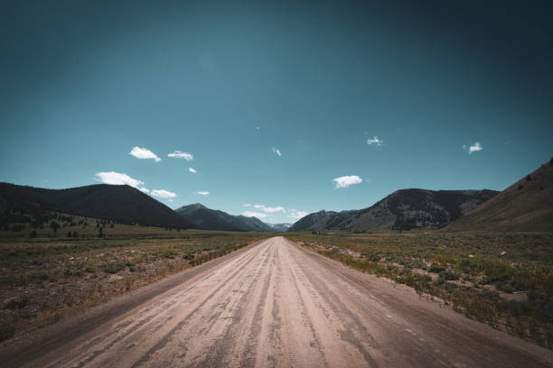 istock Road to Challis National Forest 1411881833