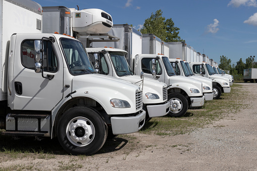 Indianapolis - Circa July 2022: Freightliner Semi Tractor Trailer Trucks Lined up for sale. Freightliner is owned by Daimler.