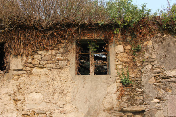 window of an old, abandoned house in the countryside