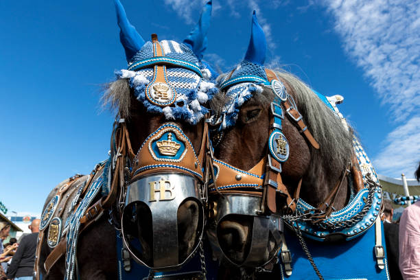 kuvapankkikuvat ja rojaltivapaat kuvat aiheesta juhlallisuudet, tapahtumat ja juhlapyhät - oktoberfest