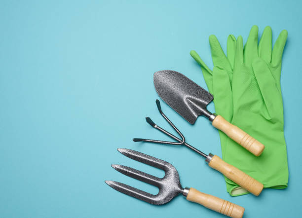 istock Garden tools for processing beds in the garden and rubber green gloves 1411887172
