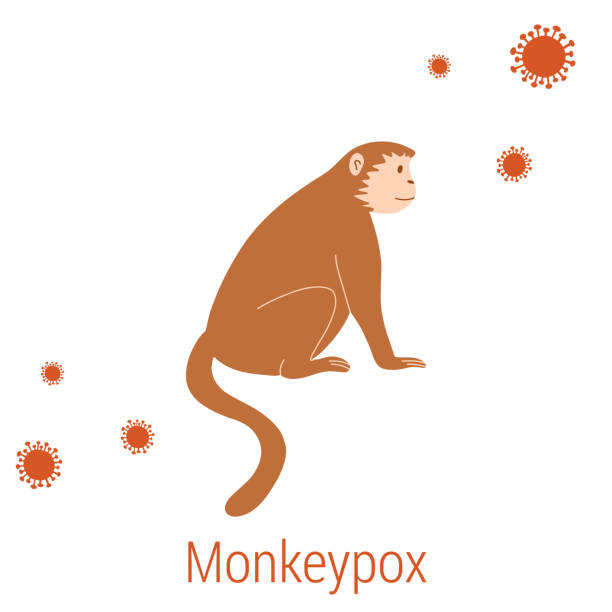 istock Vector illustration of monkey and virus cells in flat style isolated on white background. Monkeypox virus disease concept 1411887301