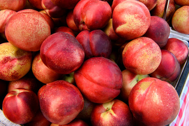 primo piano del biologico nectarines all'aperto presso il farmer's market - nectarine peach red market foto e immagini stock