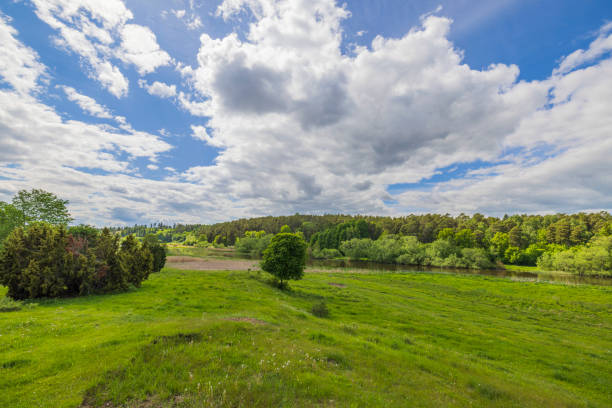 Beautiful view of river flowing between forest and rolling green meadows against blue sky with white clouds. Sweden.