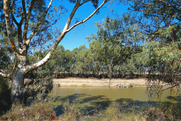 istock Swan Hill, Victoria, Australia 1411892371