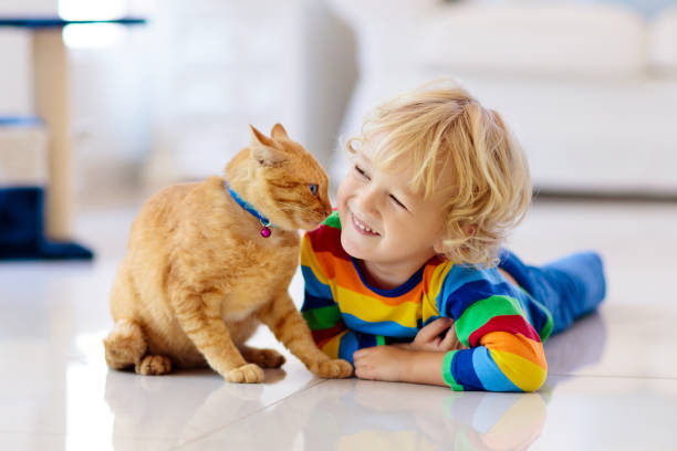 istock Child playing with cat at home. Kids and pets. 1411893676