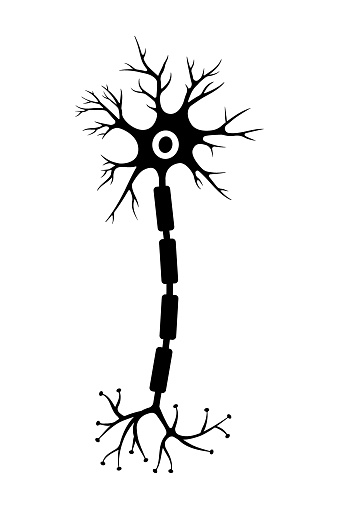 Brain neuron symbol. Human neuron cell sign. Synapses, myelin sheat, cell body, nucleus, axon and dendrites icon. Neurology illustration isolated on a white background.
