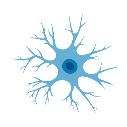 Human neuron cell illustration. Brain neuron structure. Cell body, nucleus, axon and dendrites scheme. Neurology illustration isolated on a white background.