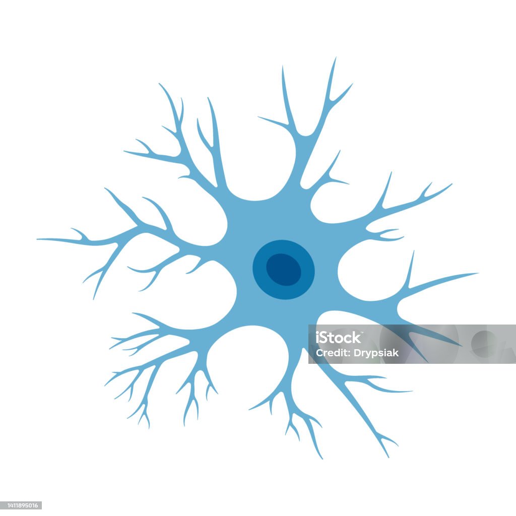 Dendrites And Axons Biology Diagrams
