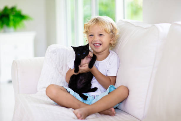 istock Child playing with baby cat. Kid and kitten. 1411897130