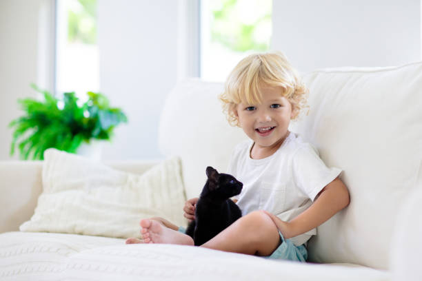 istock Child playing with baby cat. Kid and kitten. 1411897893