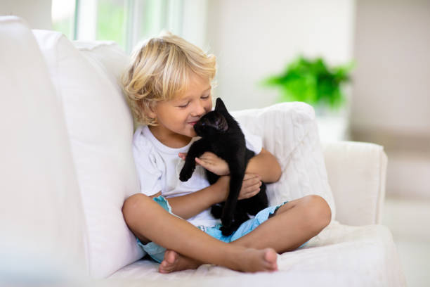 istock Child playing with baby cat. Kid and kitten. 1411897966