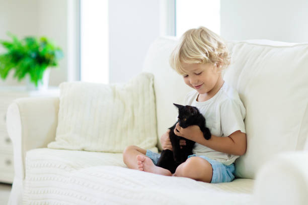 istock Child playing with baby cat. Kid and kitten. 1411897971