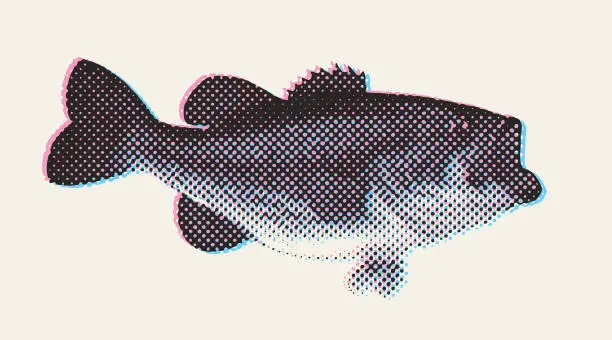 Vector illustration of Largemouth Bass illustration with glitch technique