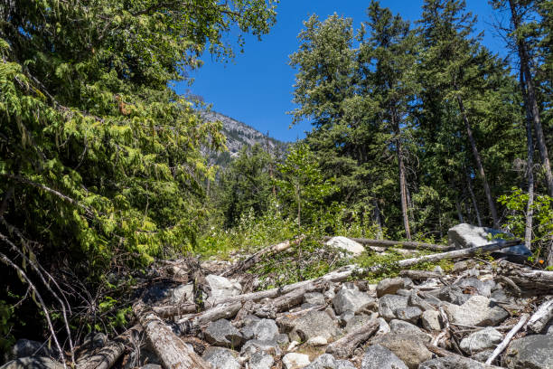 istock Birgenhead Lake Provincial Park 1411907124