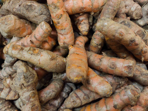 istock a collection of turmeric fruit for cooking spices or herbs 1411907966