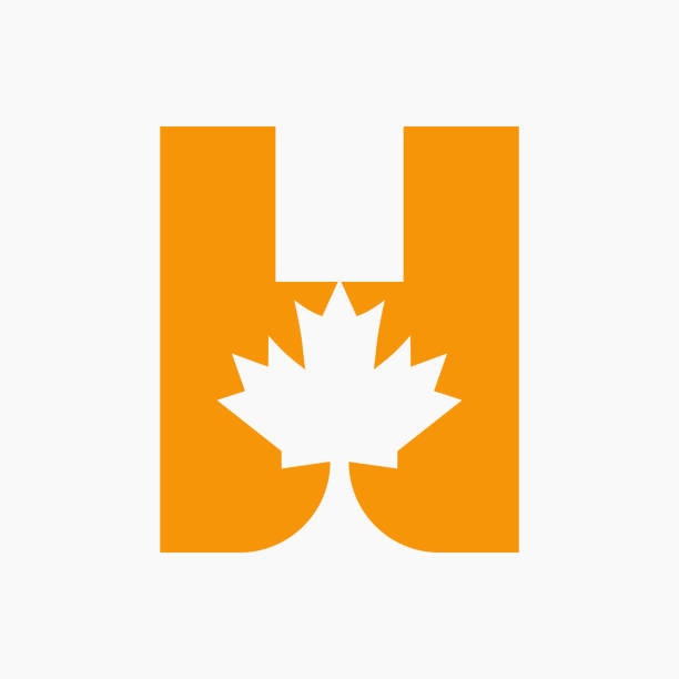 Canadian Red Maple Logo on Letter H Vector Symbol. Maple Leaf Concept For Canadian Company Identity Canadian Red Maple Logo on Letter H Vector Symbol. Maple Leaf Concept For Canadian Company Identity canadian flag maple leaf computer icon canada stock illustrations