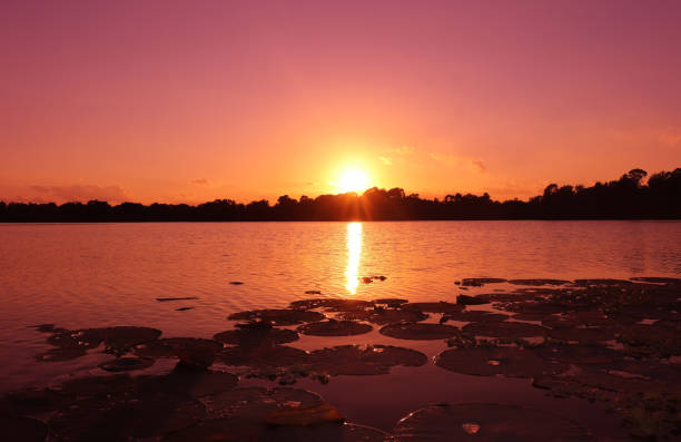 선셋 코브 - coral water sunset usa 뉴스 사진 이미지