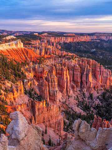 A long line of Pink Cliffs and hoodoos seen from Rainbow Point in Bryce Canyon National Park, Tropic, Utah.