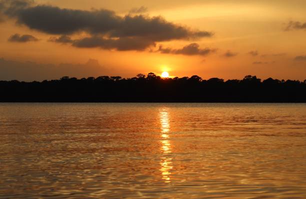 istock Golden Sunset on the Water 1411916100