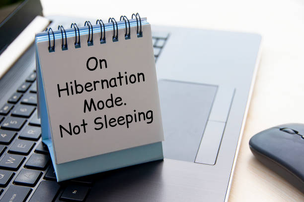 istock On hibernation mode. Not sleeping text on white table calendar on laptop keyboard. 1411928136