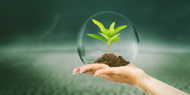 istock Hand holds plant with protective bubble in dried soil 1411929190