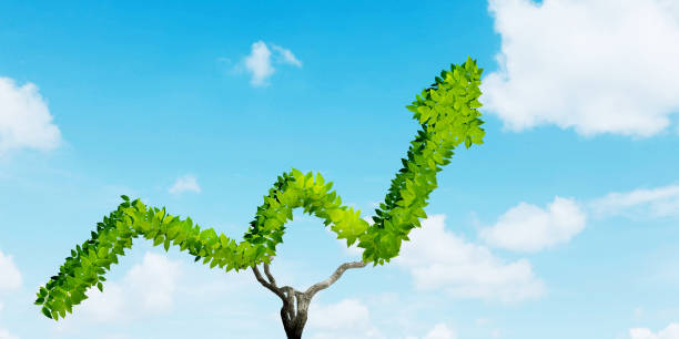 istock Close up of a green tree shaped upward arrow 1411933076