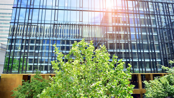istock Architecture details. Modern glass building facade in sunny day. 1411937143