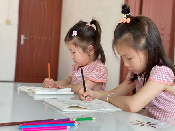 istock Two little asian girls are studying 1411937732