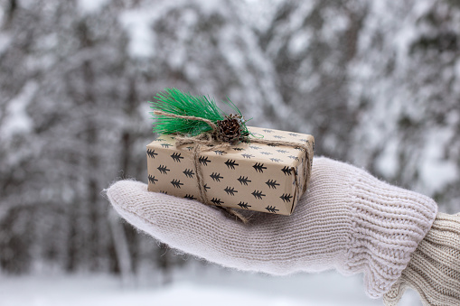 The hand in white mitten are holding a little gift box against the background of a winter forest. Close-up