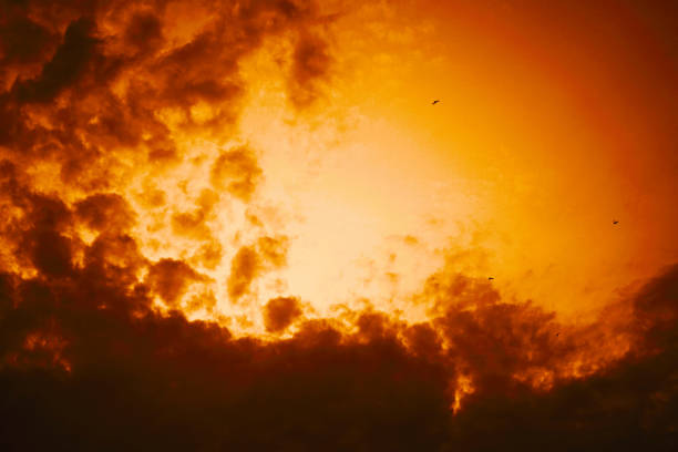 Black orange yellow sky with clouds. Dramatic golden color sunset. Sunlight. A storm is coming. Background with space for design.