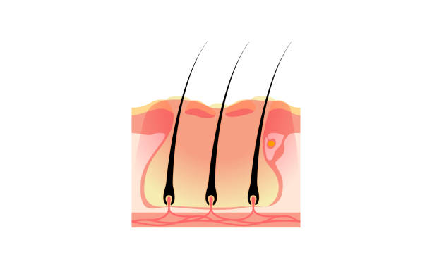 istock Illustration of a 