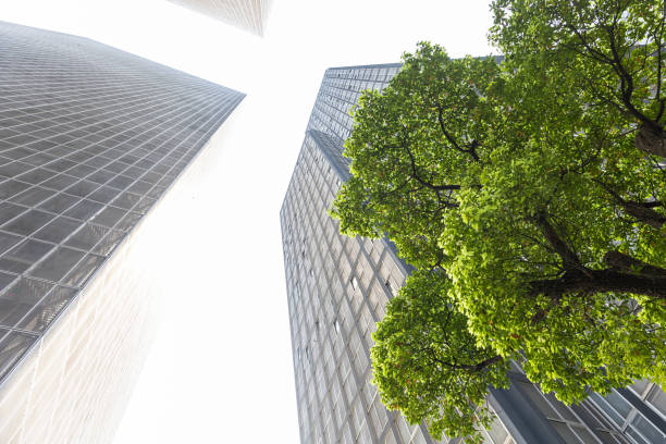 istock low angle view of skyscrapers 1411957376