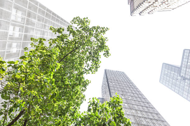 low angle view of skyscrapers