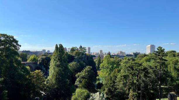 istock Trees of Paris 1411958879