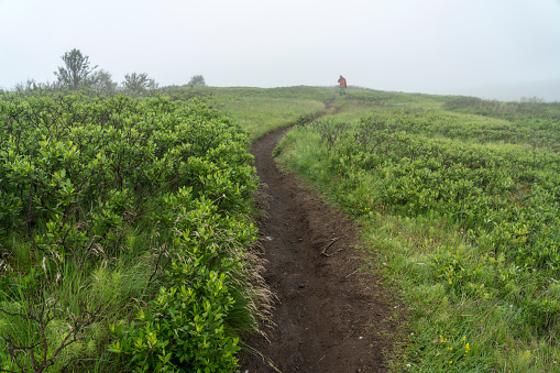 One man hiking over green hill in fog opposite the Vatnajokull glacier, Iceland