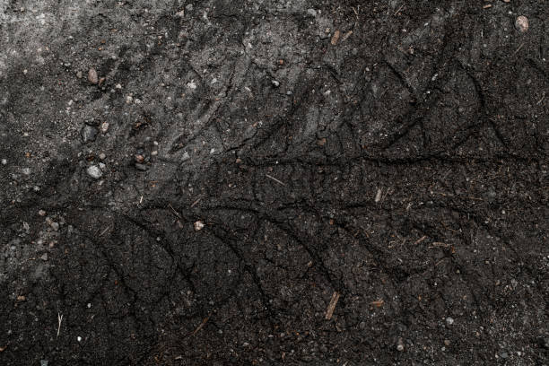 istock Top view on tyre track on dirt ground. 1411961325